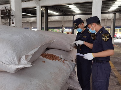 老港海关查获6.3吨禁入固体废物，软木制品制造原料藏隐患