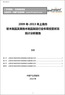 2009-2013年上海市软木制品及其他木制品制造行业经营状况分析年报